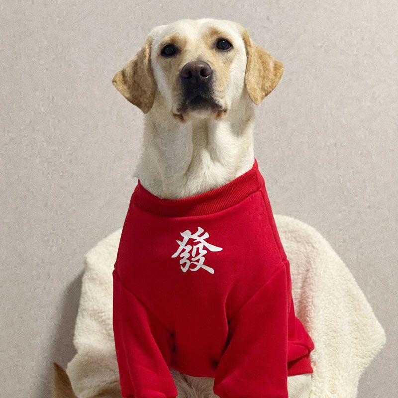 狗狗新年衣服拉布拉多金毛喜庆拜年服过年冬天中型犬大型犬狗衣服
