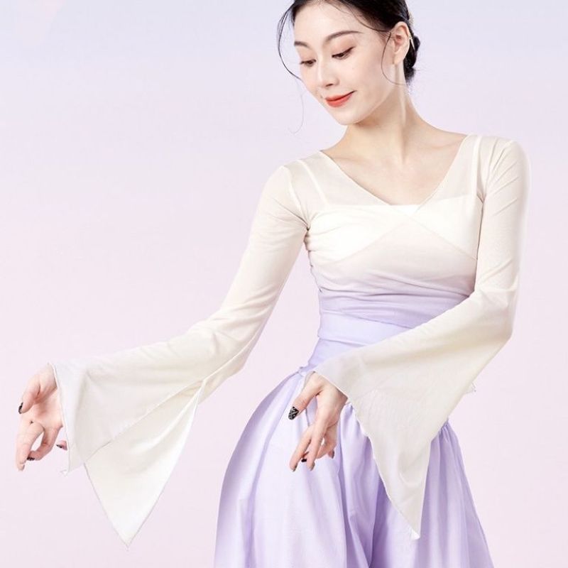 古典舞练功服身韵服纱衣中国舞舞蹈服女飘逸上衣形体演出服