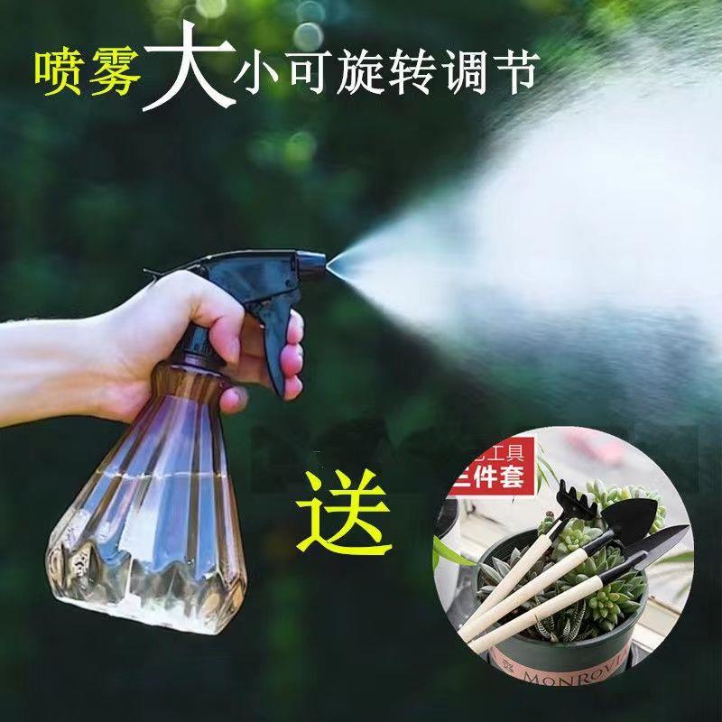 浇花小喷壶消毒园艺多肉浇花雾化塑料喷壶家用小型喷雾瓶压力喷壶