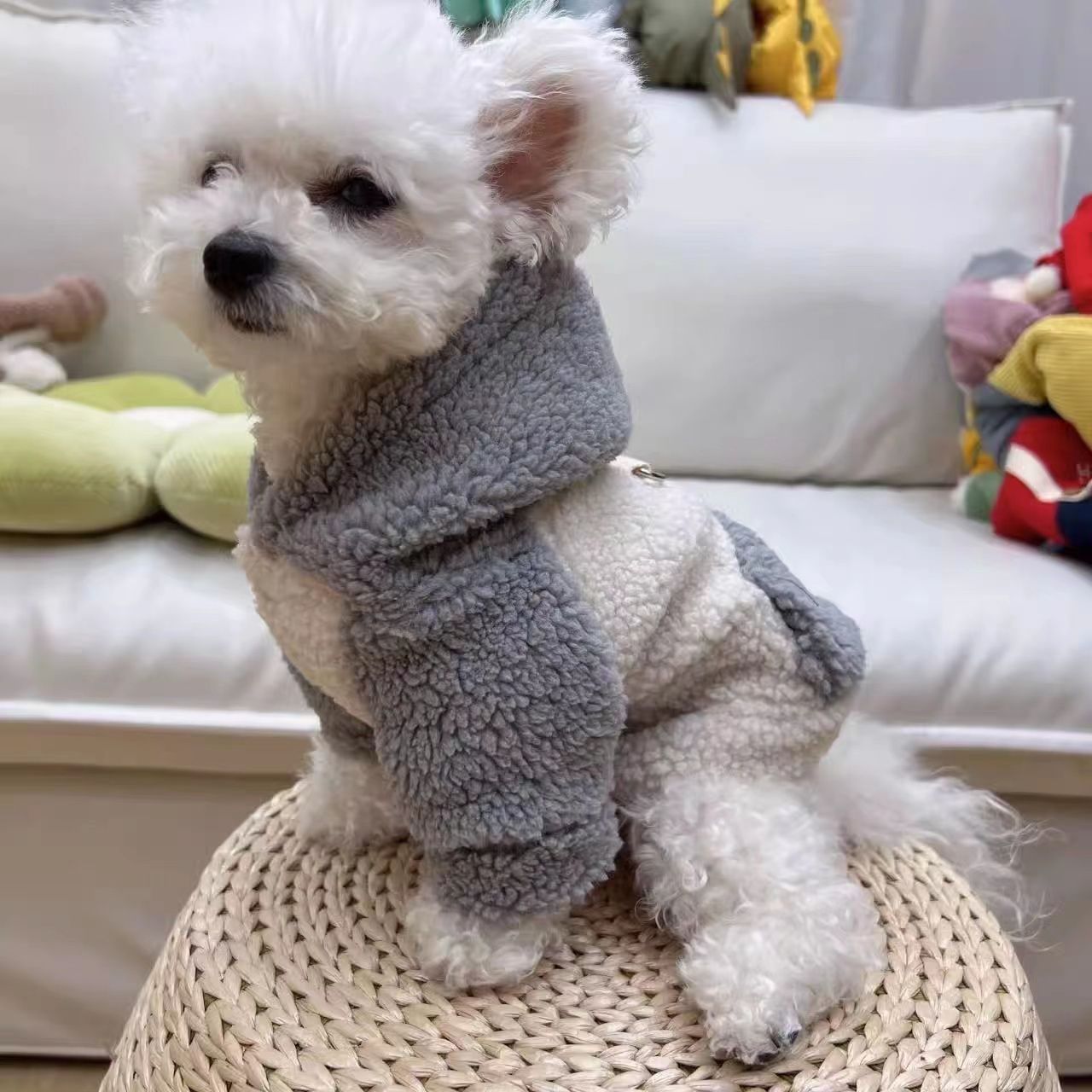 狗狗衣服冬秋冬两脚棉衣保暖加绒泰迪宠物比熊猫咪冬季小型牵引