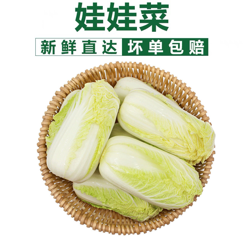 【助农ZC】新鲜现挖黄心大娃娃菜5斤装脆嫩多汁黄芽菜