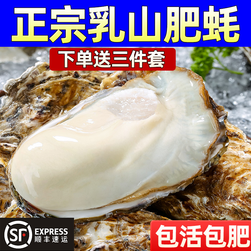 【山东专场】5斤乳山生蚝鲜活生蚝牡蛎活鲜海蛎子新鲜海鲜水产