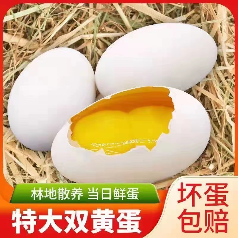 【黄兔兔家】顺丰 现捡现发新鲜散养鹅蛋12个装单个重130-160g