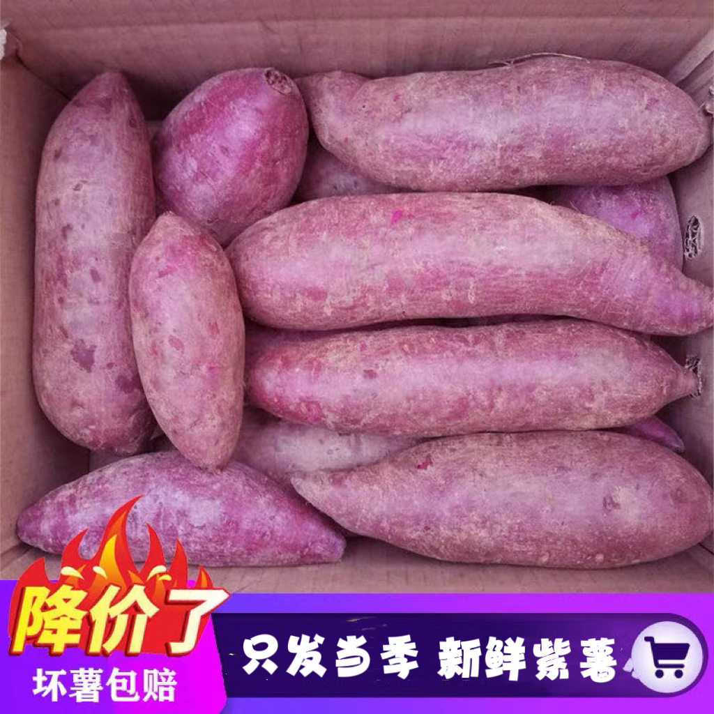 【现挖现发】现挖现发紫罗兰紫薯番薯1-10斤蜜薯红薯正宗生鲜沙地