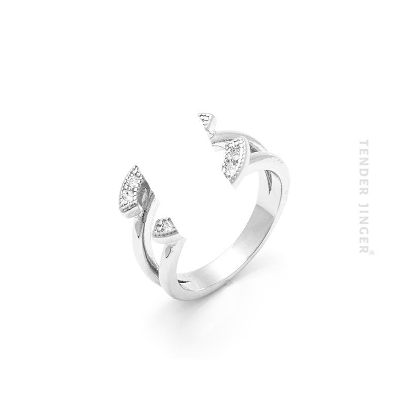 925银戒指 双C戒指轻奢时尚高级感指环