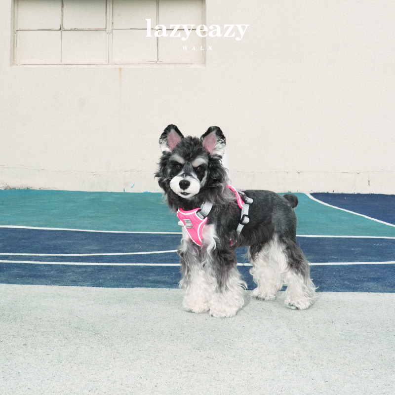 Lazyeazy宠物狗狗牵引胸背可调节时尚外出中小型犬