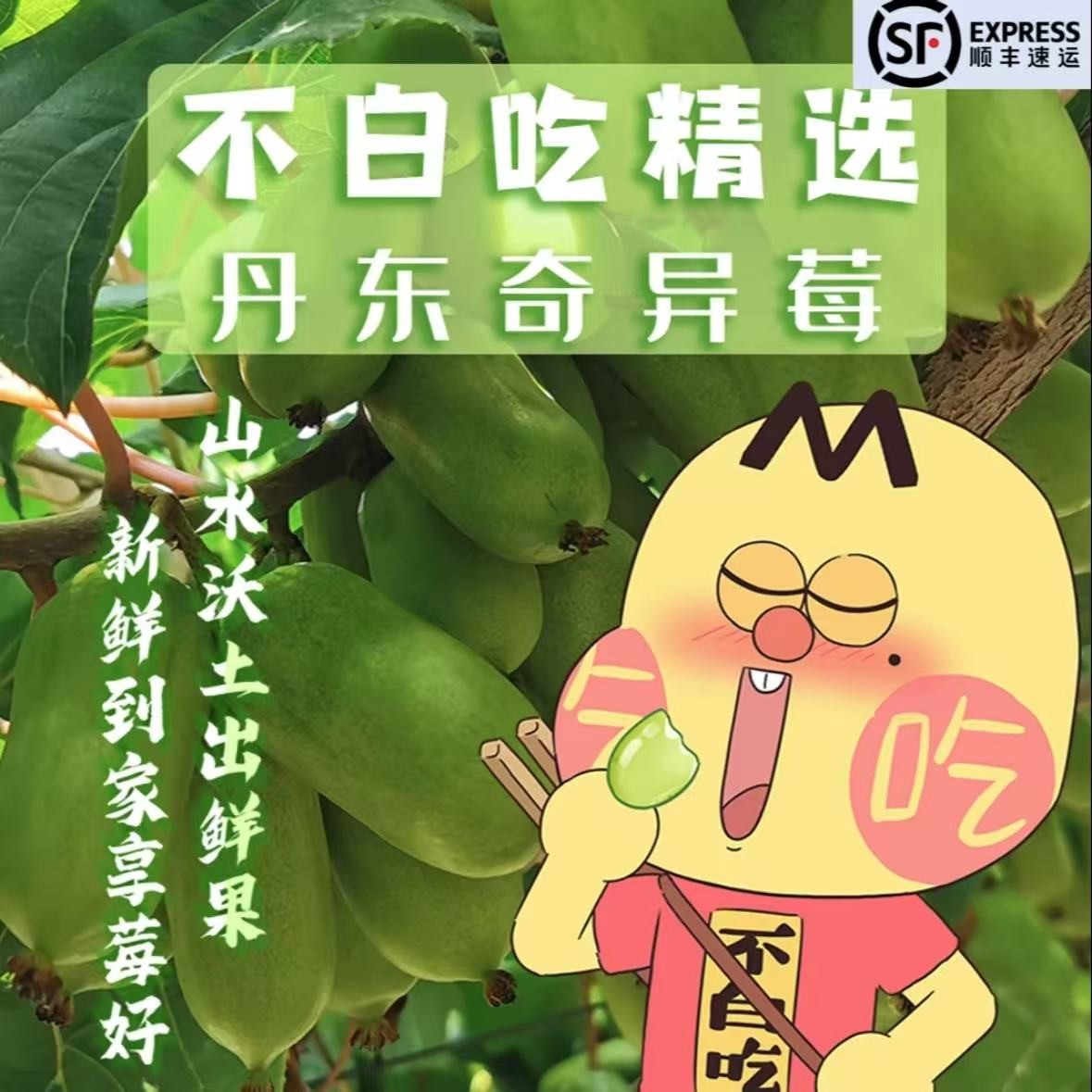 【我是不白吃】新鲜丹东软枣猕猴桃奇异莓当季水果口感细腻 囤货