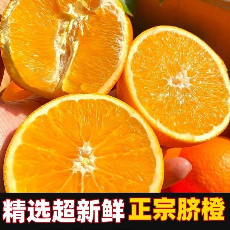 【正宗高山脐橙】脐橙现摘现发皮薄肉厚果园直发新鲜多仓发货