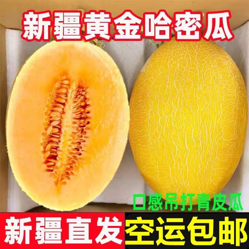 【新疆空运直发】吐鲁番哈密瓜金色年华现摘现发应季新鲜脆甜水果