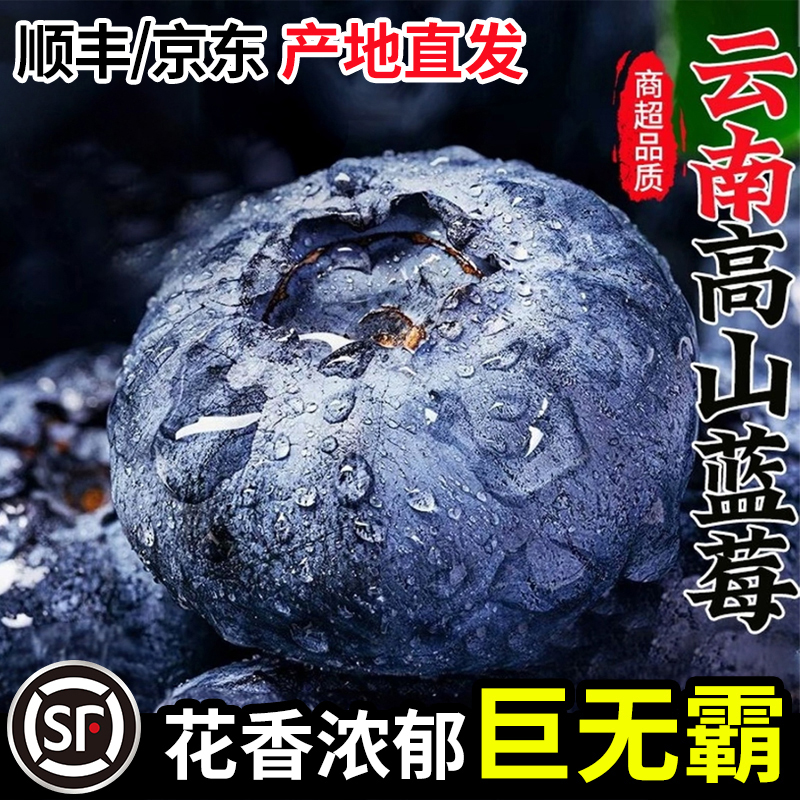 S1【顺丰JD】云南花香蓝莓巨无霸15-24mm＋原产地现摘现发