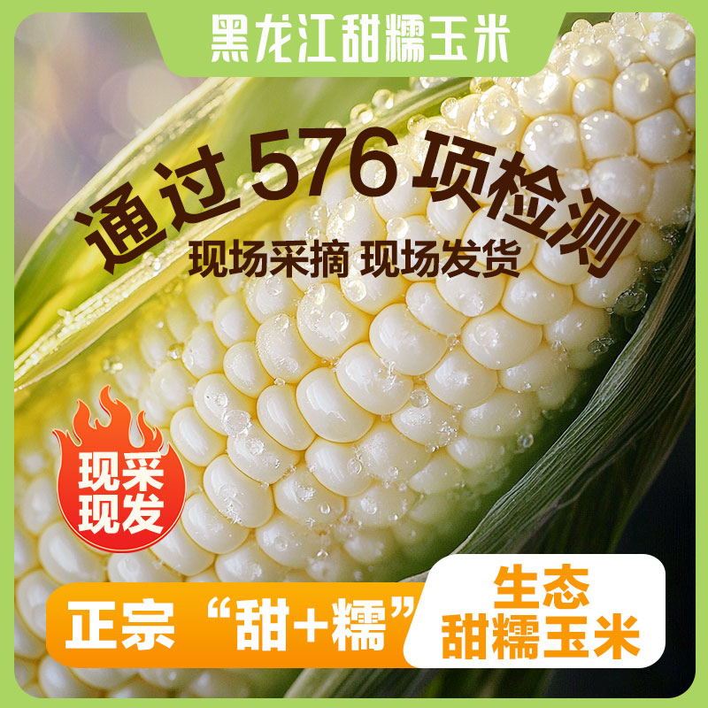 【2025年现采现发，甜+糯白玉米】黑龙江鲜食玉米整箱冷链发货8根