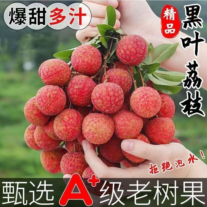 先亏一波《顺丰冷链》正宗冰糖黑叶荔枝新鲜乌叶整箱5斤坏果包赔