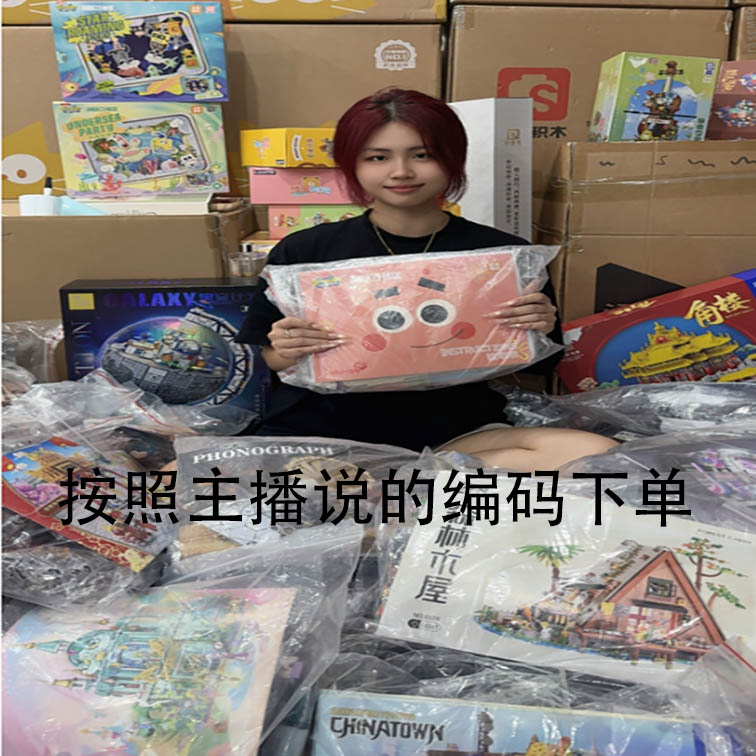 链接按编码下单益智拼插装积木玩具新品饰002