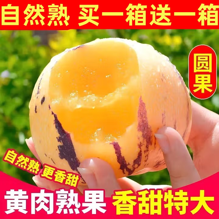 【买一箱送一箱】云南树熟正宗人参果黄肉圆果皮薄清甜多汁人生果
