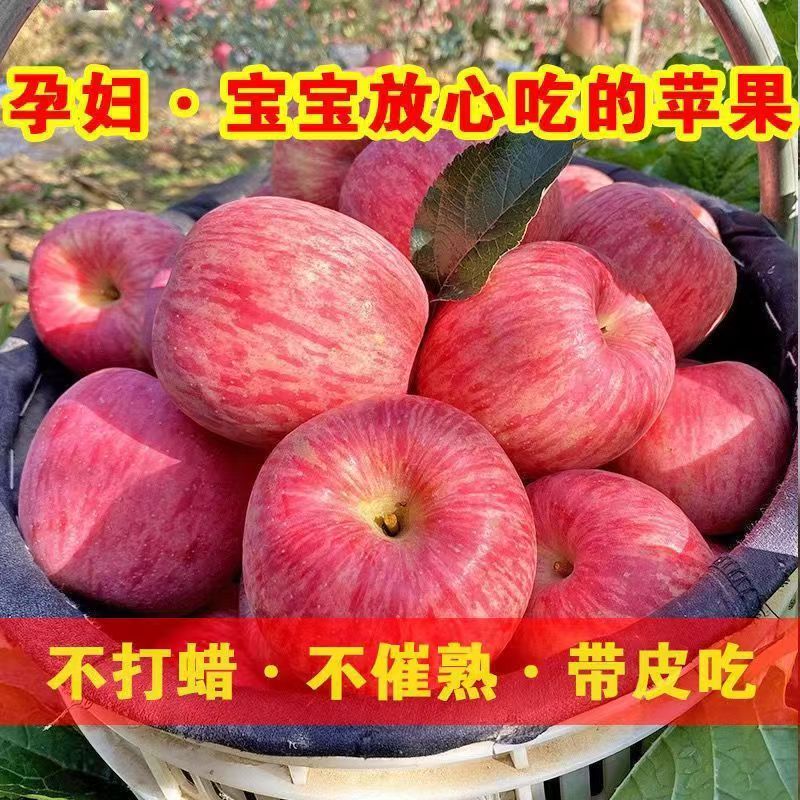 山东红富士苹果脆甜栖霞红苹果当季新鲜脆甜多汁特大果纯甜