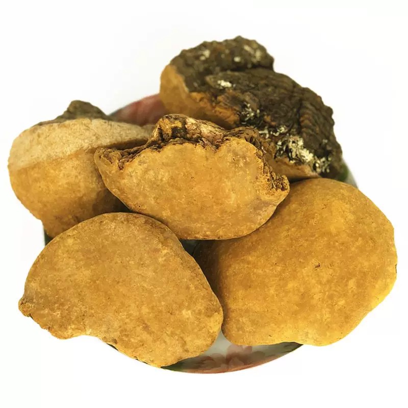 心妹土特产 桑黄 农家土特产