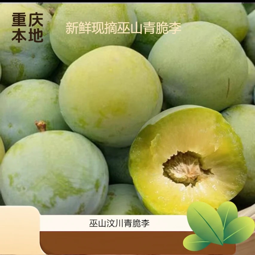 正宗【巫山青脆】李新鲜清脆青翠李子新鲜当季水果多仓发货