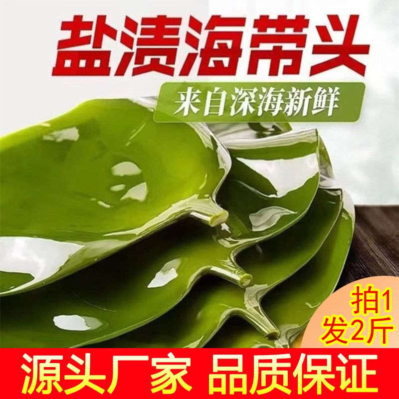 【拍1发2斤】盐渍海带头 霞浦特产火锅食材水产 厚海带500克/袋
