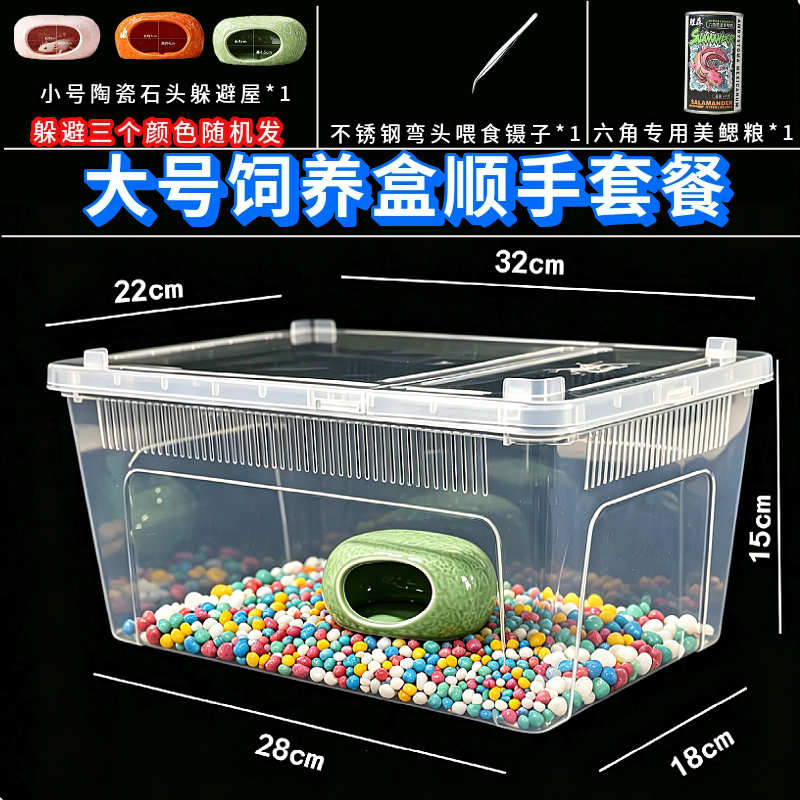 六角恐龙鱼专用缸养蝾螈的饲养鱼缸宠物小型观赏鱼生态造景躲避屋