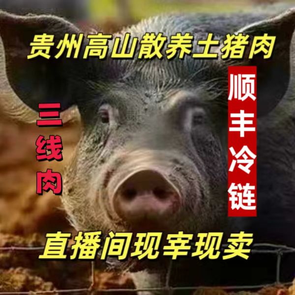 贵州高山散养土猪--【三线肉】(以实际斤两为准）