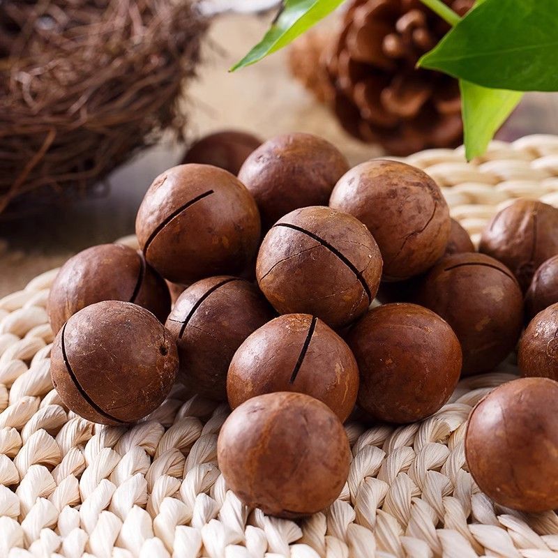 新货夏威夷果奶油味休闲零食坚果年货