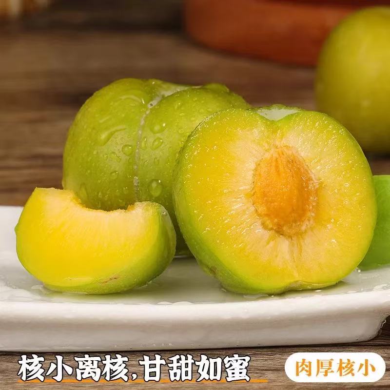 贵州高山新鲜应季青脆李脆甜多汁爽口肉厚（顺丰包邮）