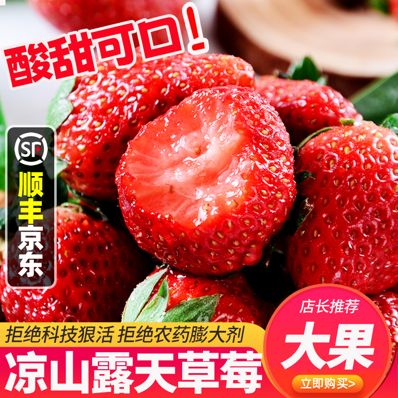 【送1盒】JJ1四川大凉山露天种植草莓新鲜水果顺丰京东包邮2-4盒