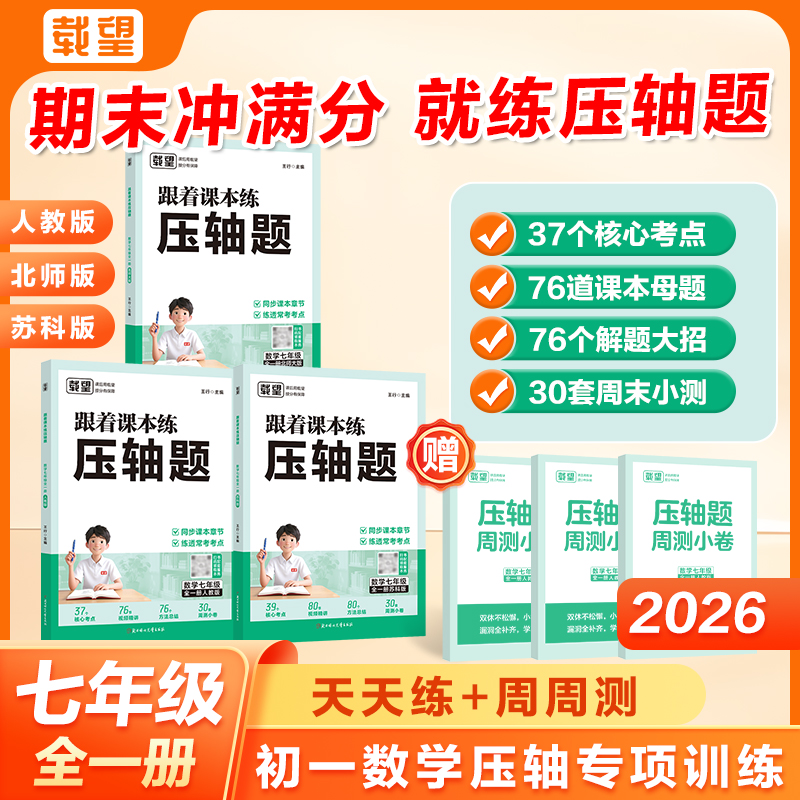 载望【跟着课本练压轴题】2025新版推荐专项训练初中天天练强化训练商品图