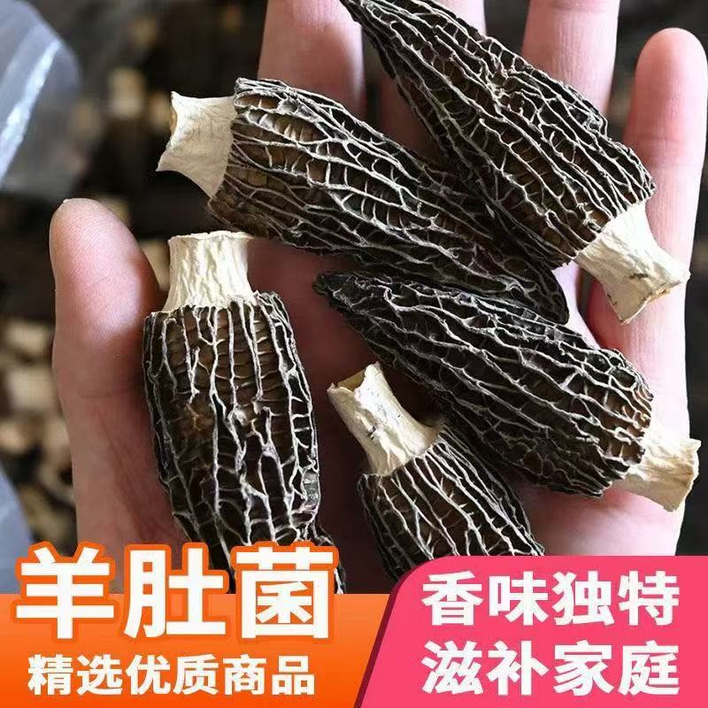 高山羊肚菌4-7公分干货直采煲汤火锅适用干度足味道鲜美n