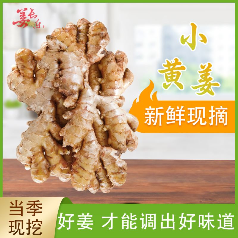 高山二黄姜小黄姜精选老姜姜味十足小生姜3斤/5斤/9斤带泥带土发