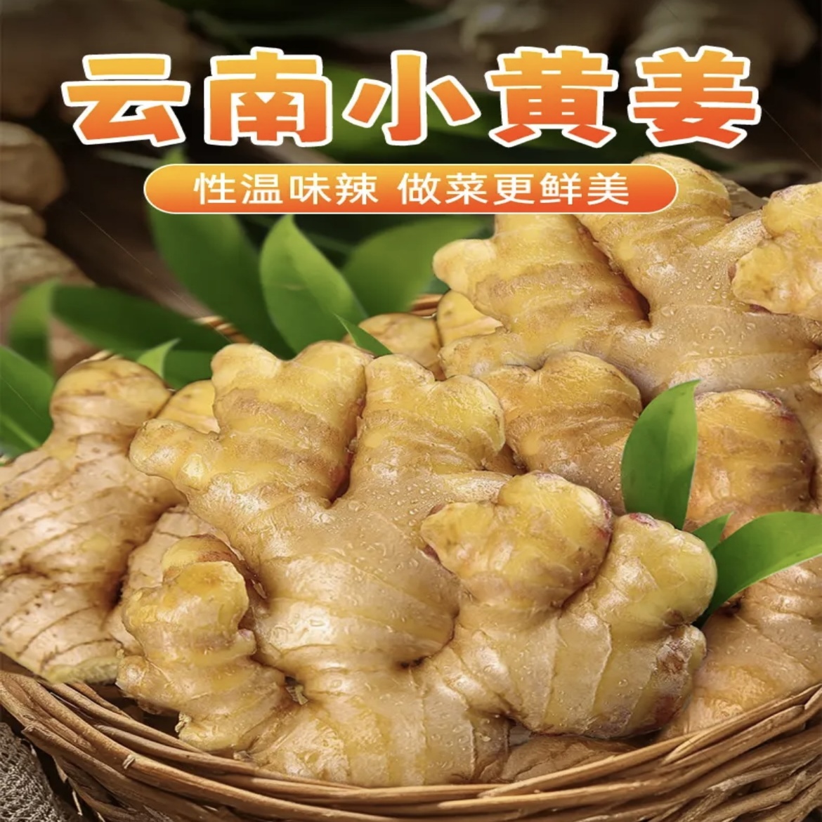 云南新鲜现挖一年半老姜小黄姜3/5/9斤云南产地发货姜味浓郁