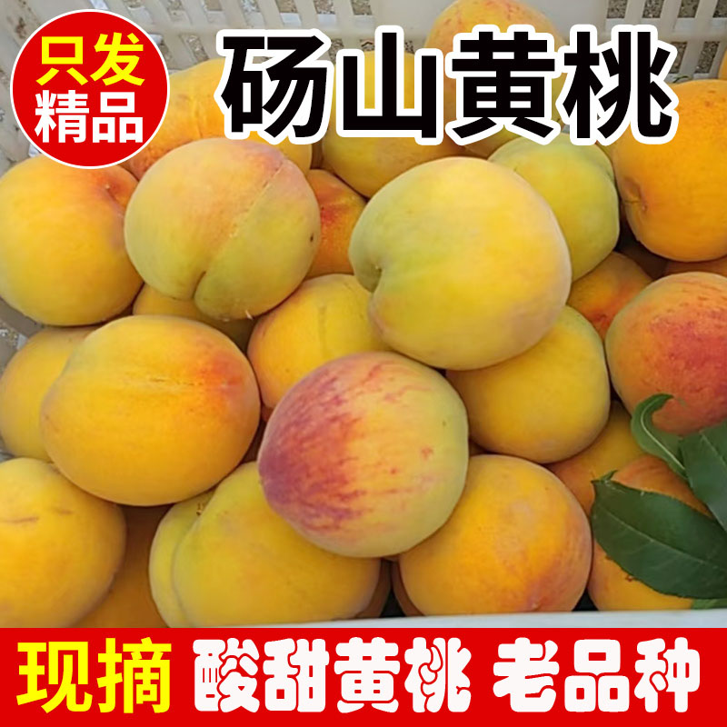 【可做罐头 口感偏酸】正宗19黄金冠大黄桃新鲜孕妇水果桃子锦绣