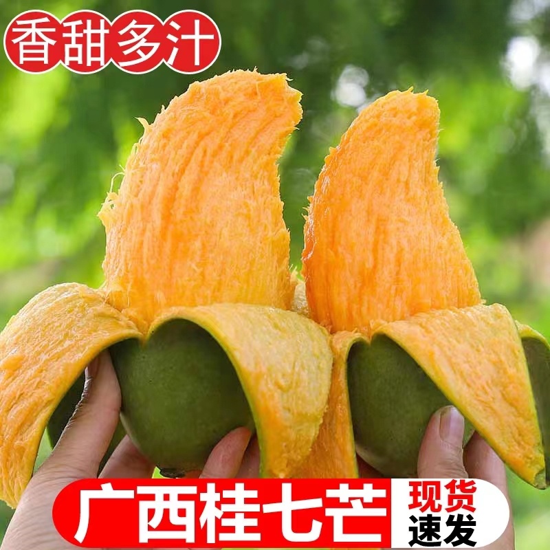 【正宗田东桂七】广西百色正宗桂七芒果6/10斤香甜多汁新鲜采摘发货