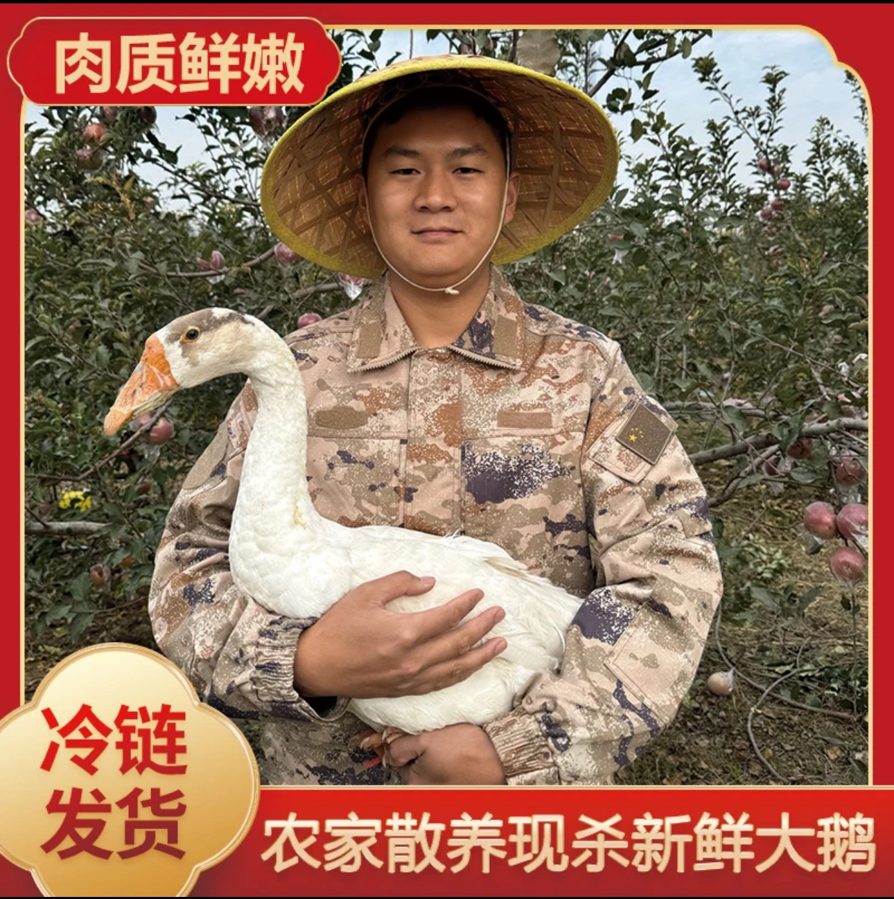 【买一送一】大白鹅放养半年左右大白鹅 青年鹅 土鹅2只净重9-10斤