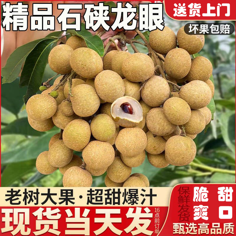 【送货到家】广西龙眼新鲜石硖非储良精选孕妇当季桂圆水果一整箱