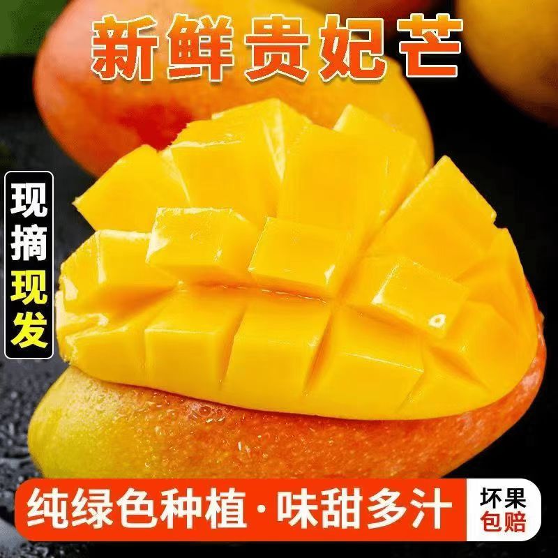 【放软食用】广西百色贵妃芒果新鲜应季现摘热带水果应季整箱10斤P