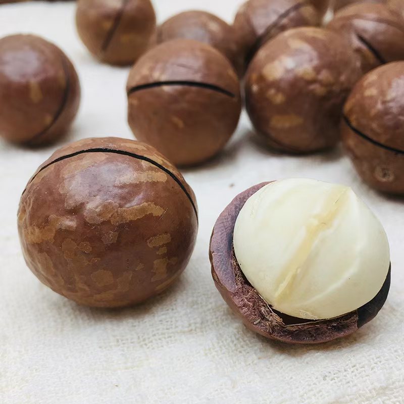 【无干燥剂】新货大果夏威夷果袋装原味奶油味坚果干果零食年货特产