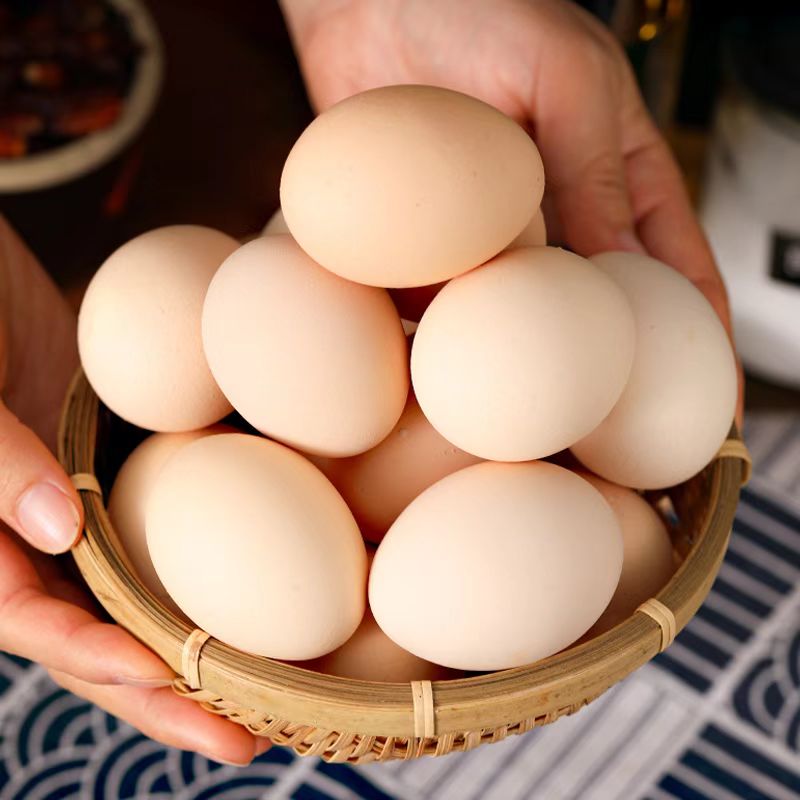 【新鲜鸡蛋】农家散养林间新鲜鸡蛋营养丰富50枚单颗40g - 50g