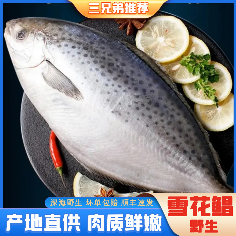 【三兄弟海鲜】雪花鲳鱼纯野生深海鱼新鲜直播150-200g/条10条1500g