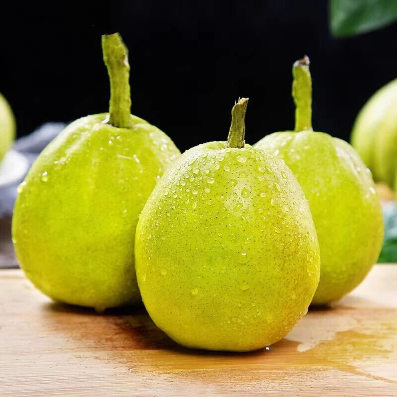 【正宗新疆库尔勒香梨】冬季脆甜包邮到家年货必备（今天拍明天到）