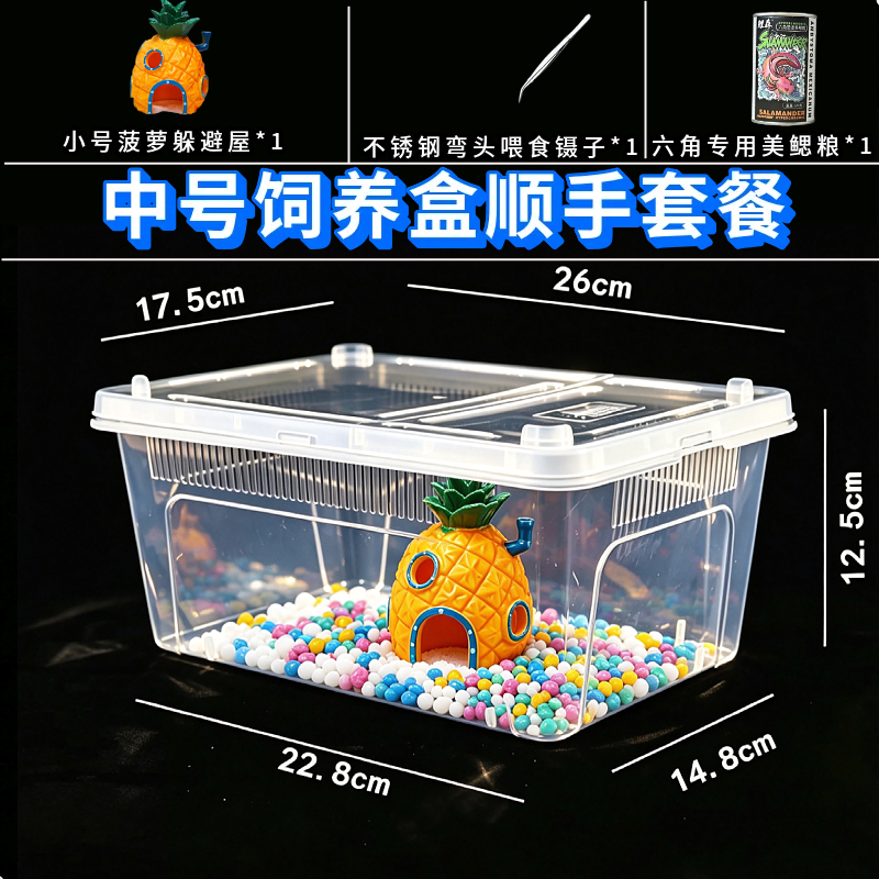 六角恐龙鱼专用缸养蝾螈的饲养鱼缸宠物小型观赏鱼生态造景躲避屋