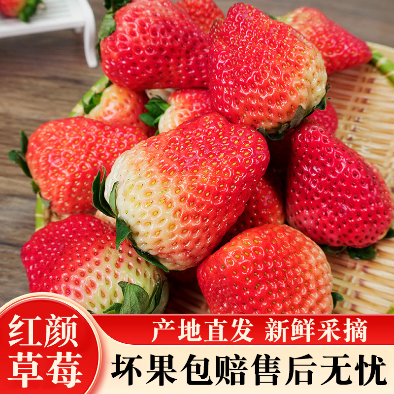 【顺丰包邮】三斤安徽红颜奶油草莓扁果畸形果新鲜现摘现发40g-80g