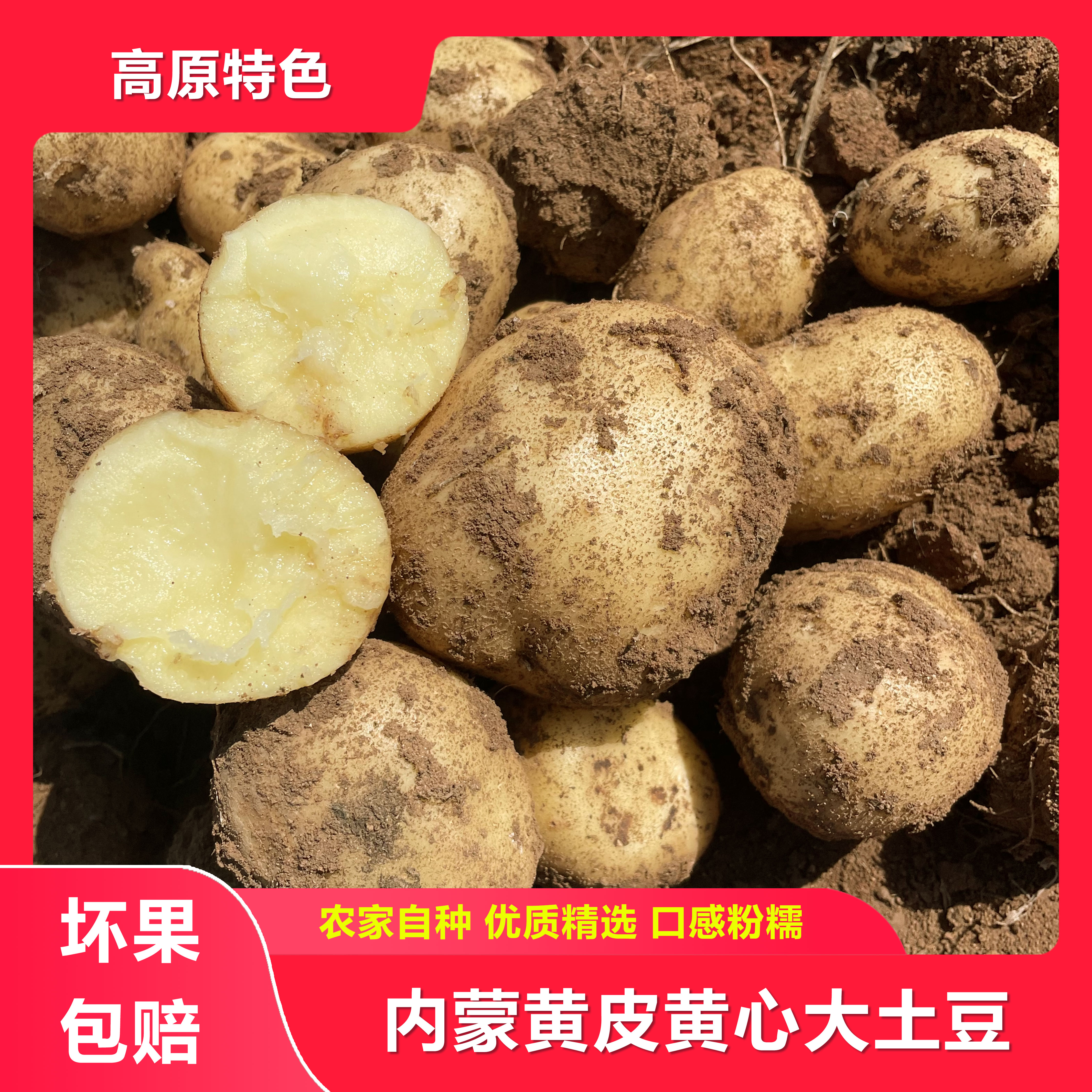 【带箱5斤】黄皮黄心大土豆皮薄粉糯甘沙产地直发坏果包赔