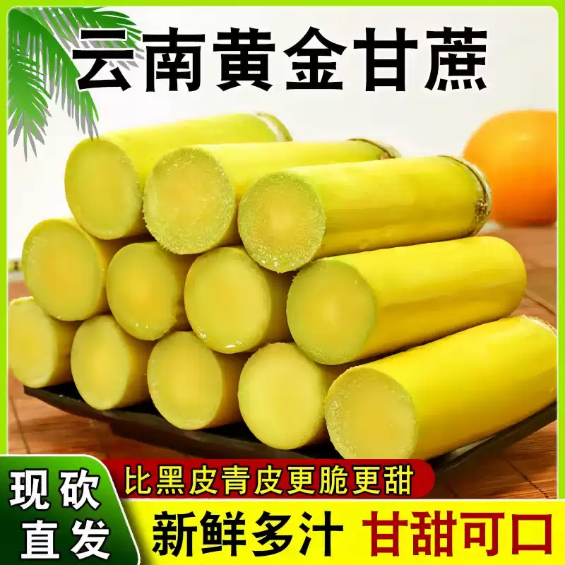 z云品毛毛云南黄金甘蔗新鲜当季水果黄皮青皮甘蔗现砍脆甜多汁