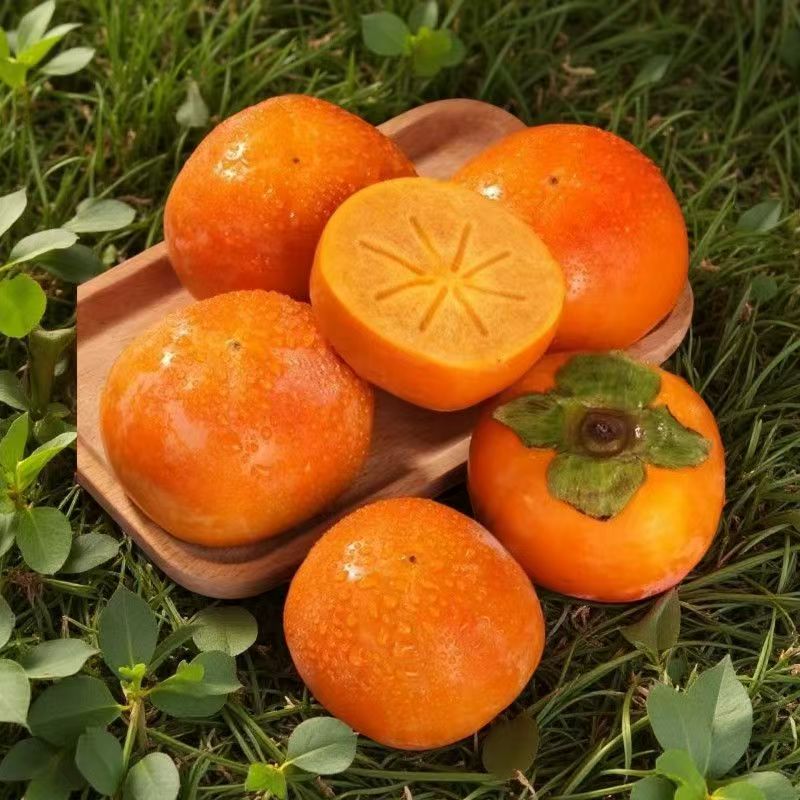 正宗阳丰冰糖心巧克力脆柿纯甜不涩口不麻口现摘现发