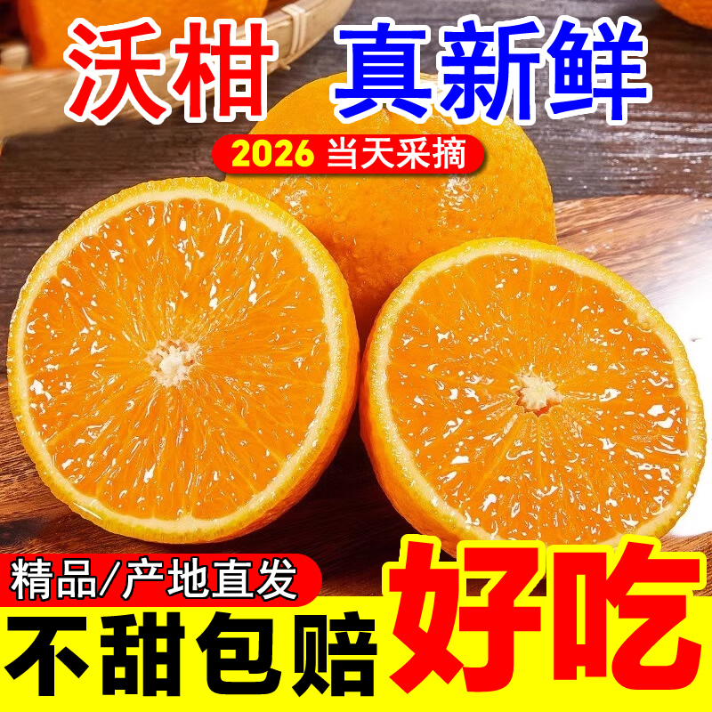 新鲜高山沃柑当季新鲜水果皮薄多汁香甜可口产地直发新鲜采摘现发