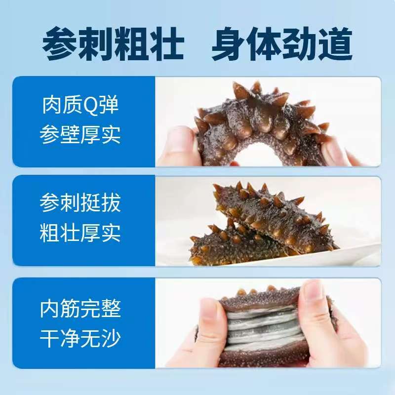 正宗鲜食海参8-12头开袋即食送长辈滋补营养口感Q弹品质高