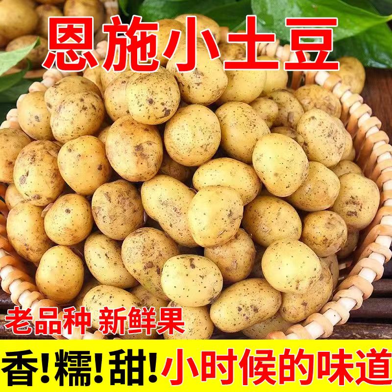 【正宗恩施发货】湖北土豆恩施新鲜高山迷你小土豆现挖小洋芋马铃薯
