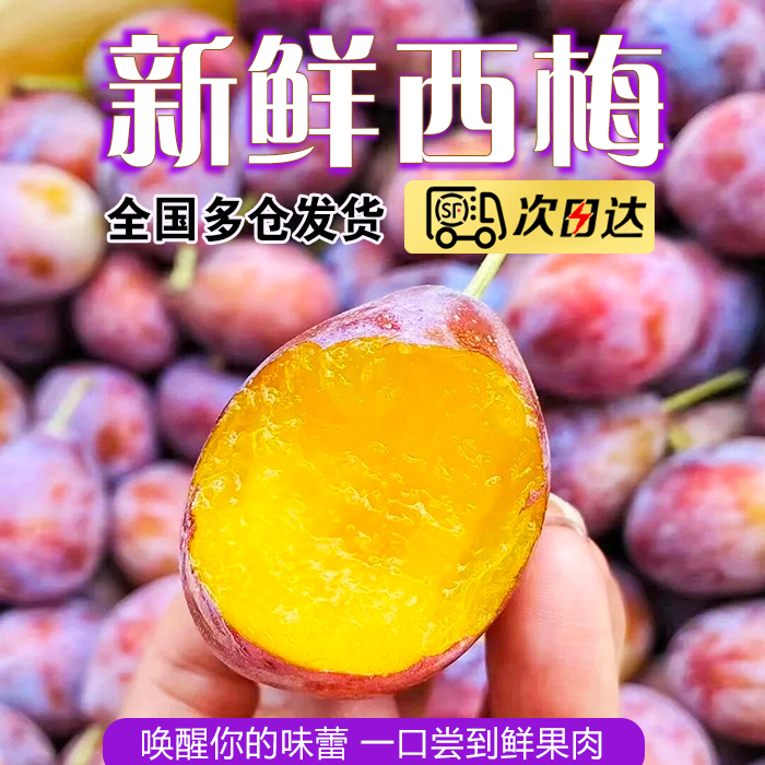 顺丰包邮【放软后吃】新鲜现摘西梅放软后香甜多汁当季水果次日达同城送