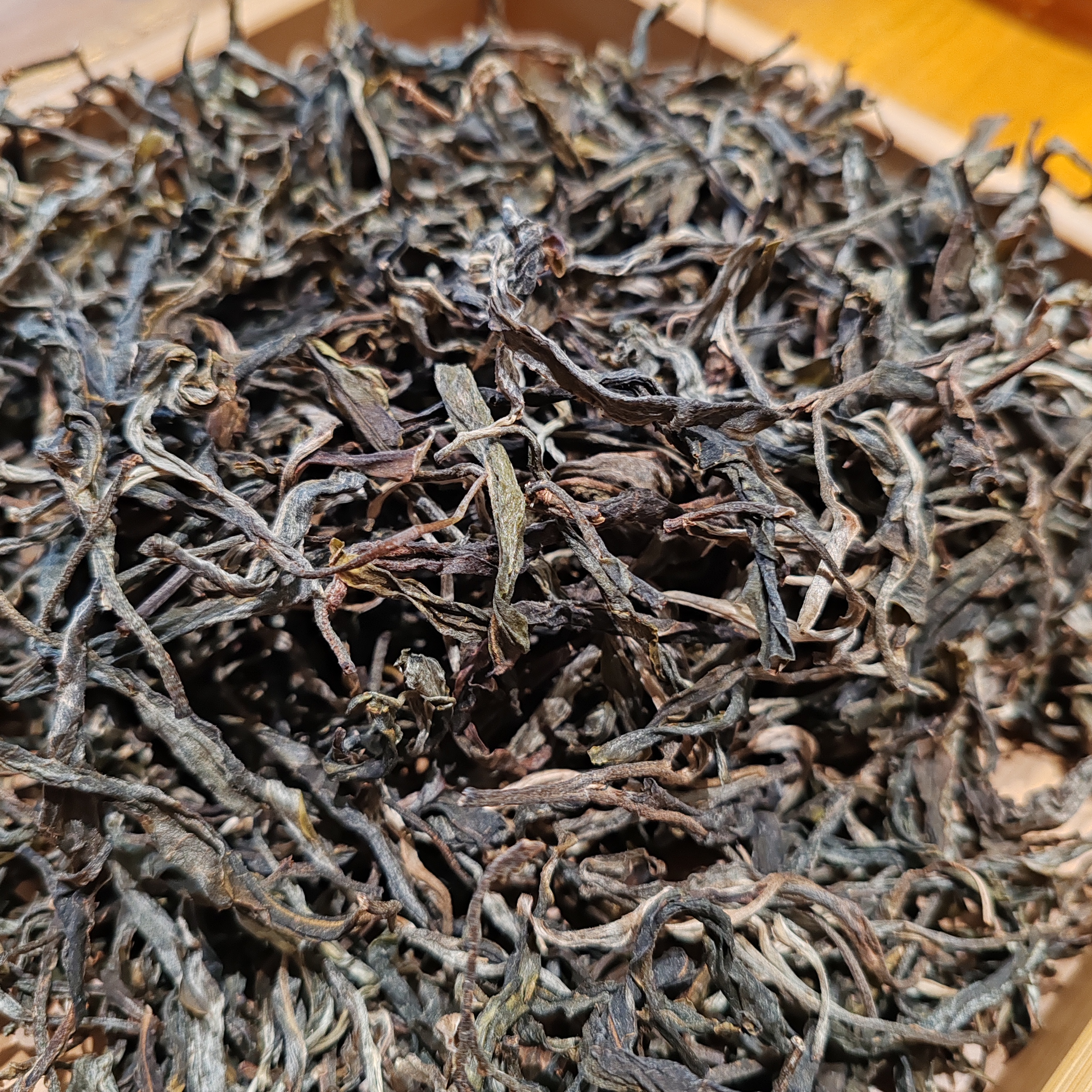 257号云南临沧2025年亥公东来古树散茶生茶500克8-9